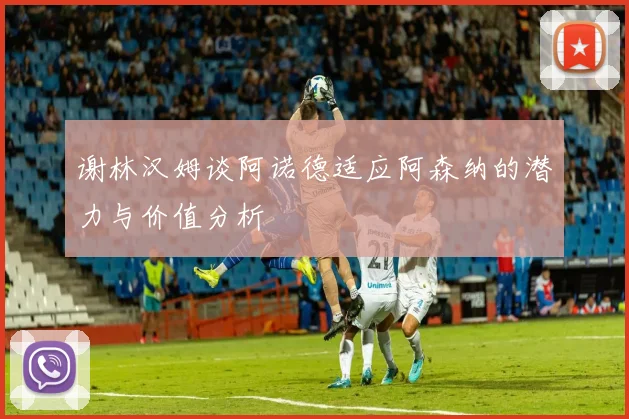 谢林汉姆谈阿诺德适应阿森纳的潜力与价值分析